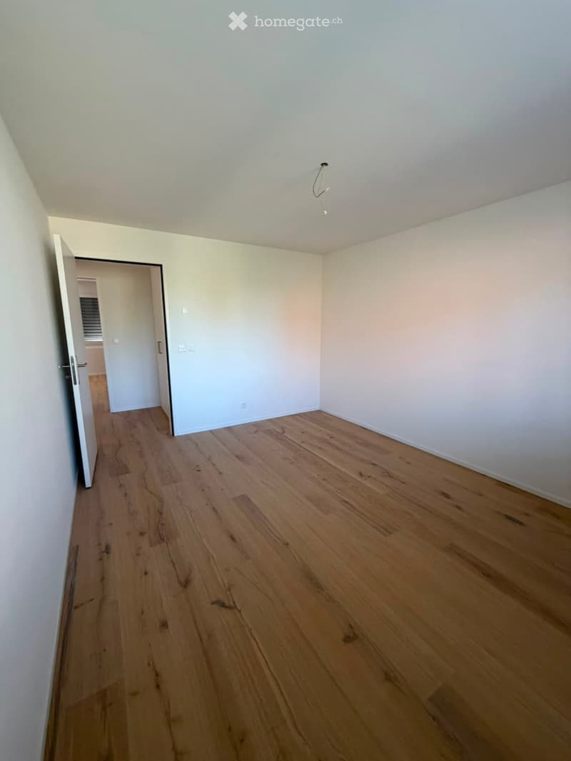 Grosszügige 5.5-Zimmer-Dachwohnung mit Terrasse und Weitsicht in Schaffhausen (22)