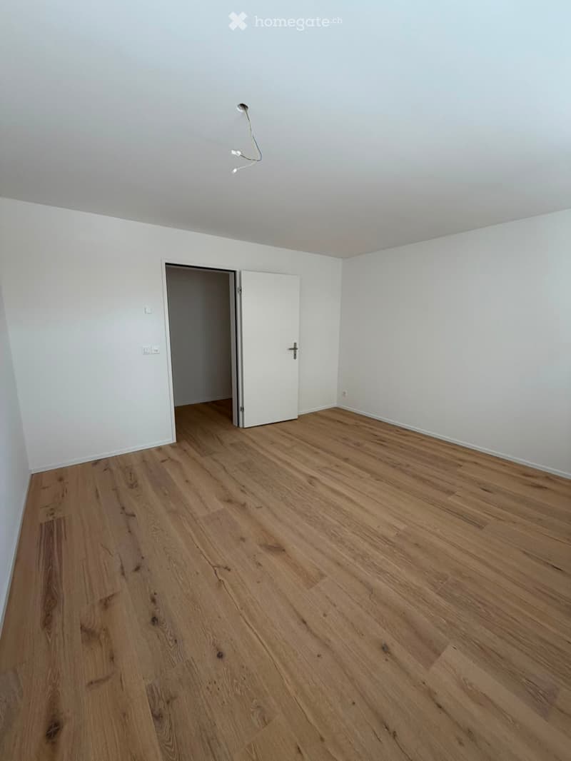 Grosszügige 5.5-Zimmer-Dachwohnung mit Terrasse und Weitsicht in Schaffhausen (18)