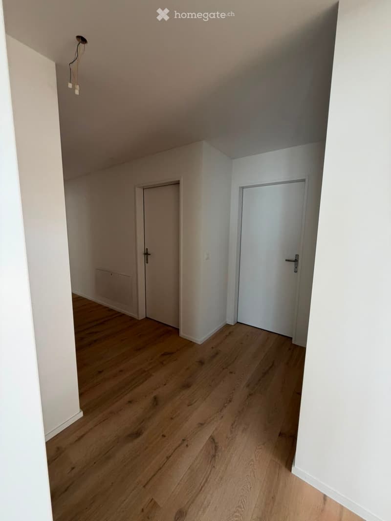 Grosszügige 5.5-Zimmer-Dachwohnung mit Terrasse und Weitsicht in Schaffhausen (12)