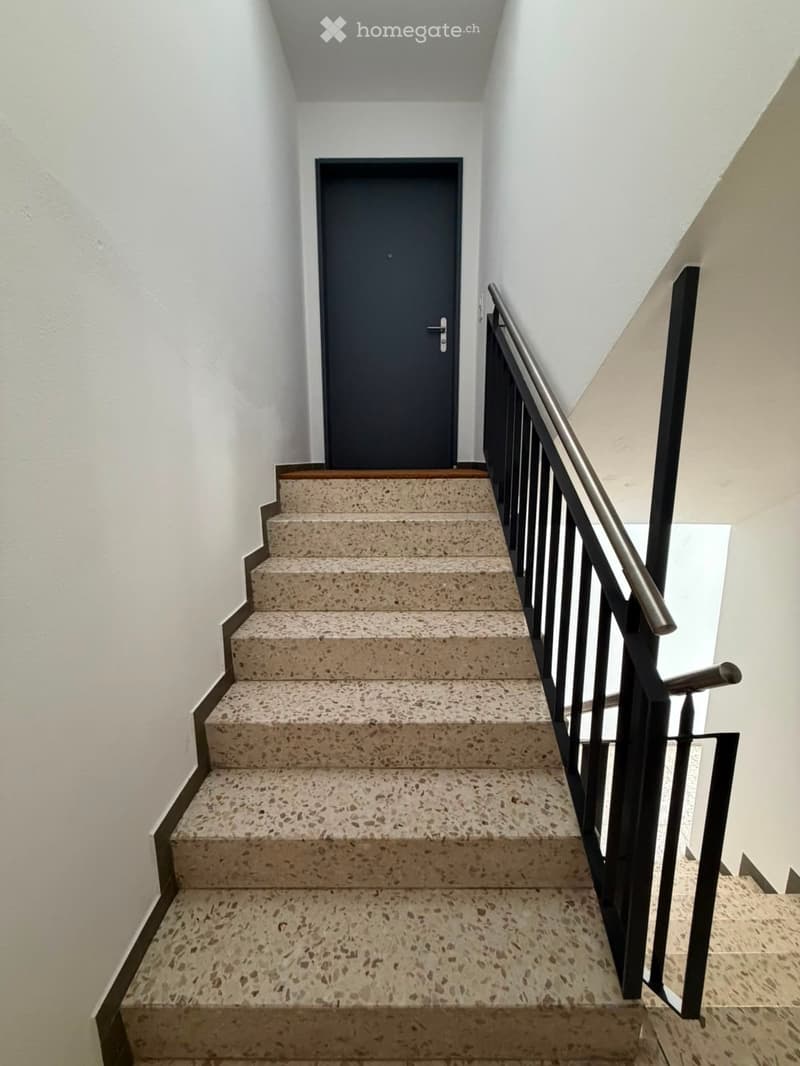 Grosszügige 5.5-Zimmer-Dachwohnung mit Terrasse und Weitsicht in Schaffhausen (35)