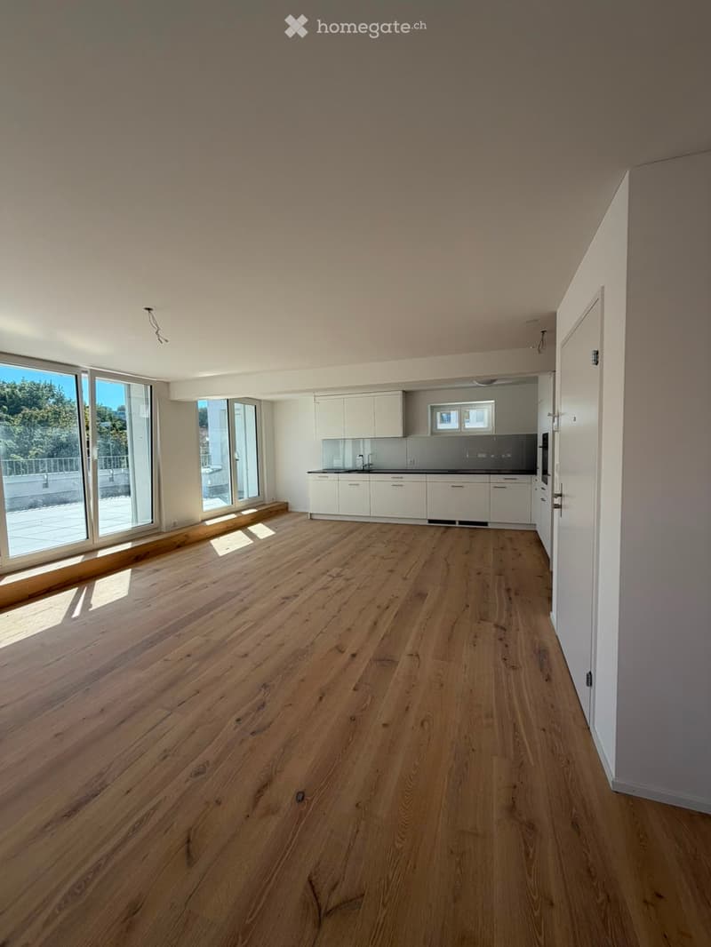 Grosszügige 5.5-Zimmer-Dachwohnung mit Terrasse und Weitsicht in Schaffhausen (1)