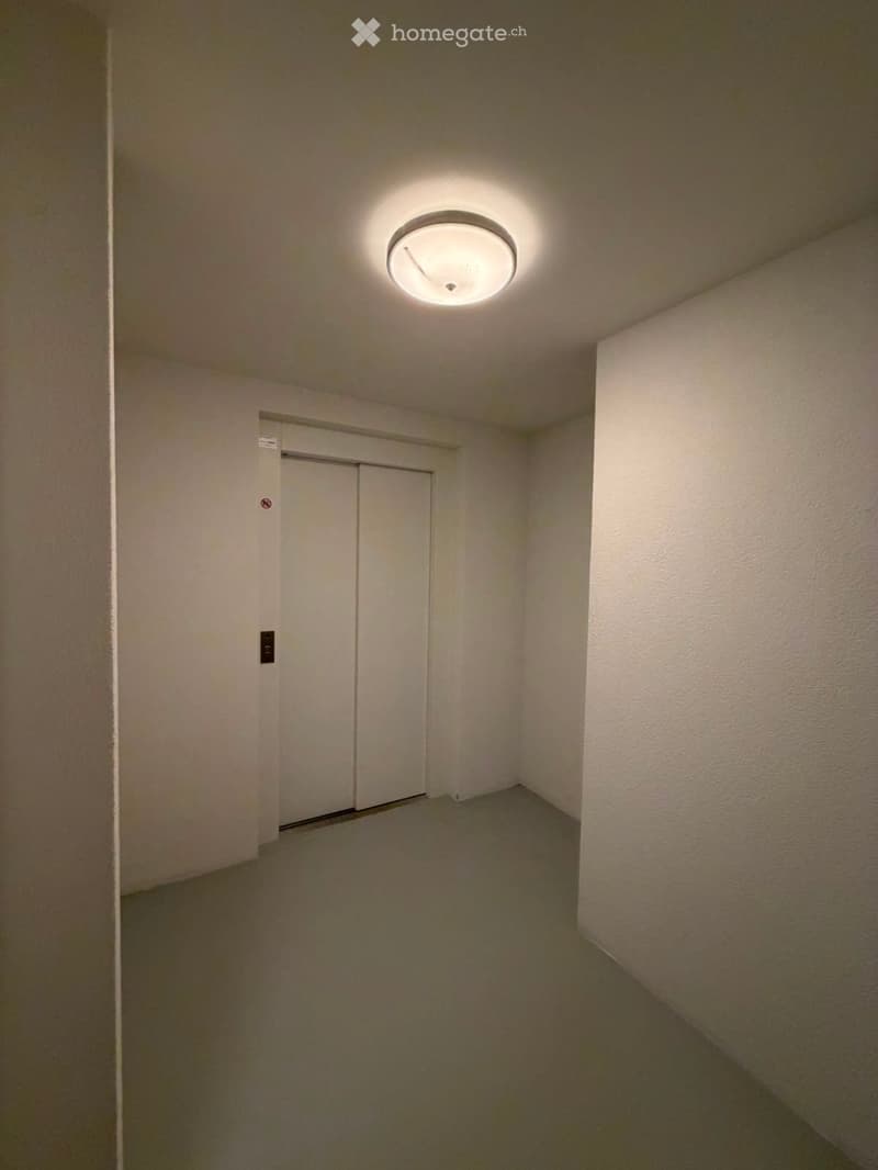 Grosszügige 5.5-Zimmer-Dachwohnung mit Terrasse und Weitsicht in Schaffhausen (34)