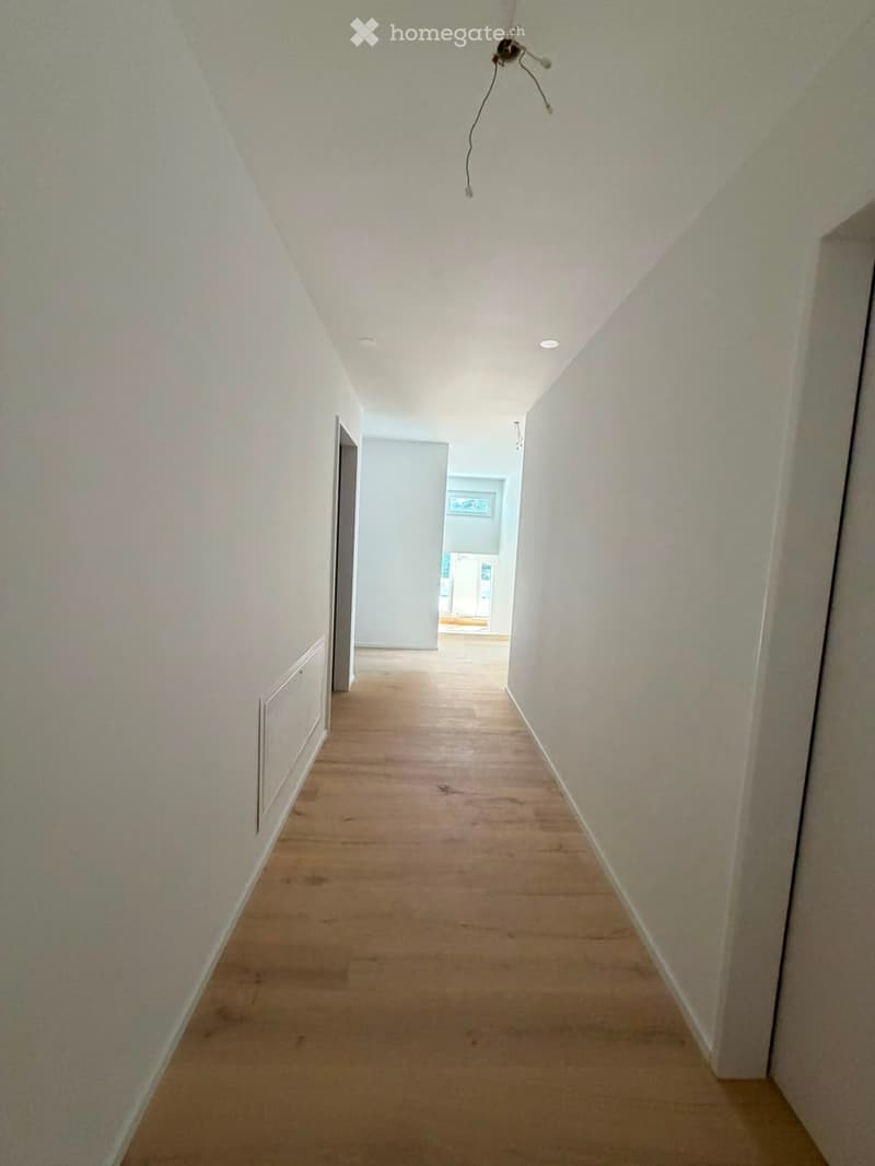 Grosszügige 5.5-Zimmer-Dachwohnung mit Terrasse und Weitsicht in Schaffhausen (23)