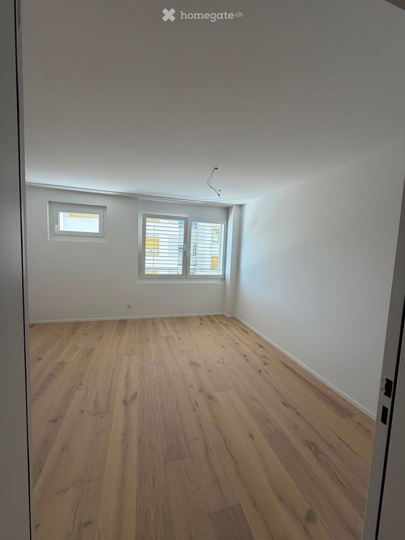 Grosszügige 5.5-Zimmer-Dachwohnung mit Terrasse und Weitsicht in Schaffhausen (17)