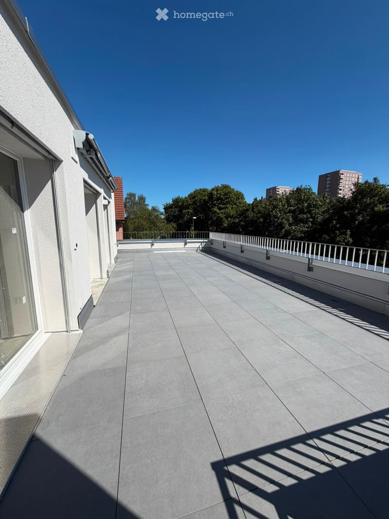 Grosszügige 5.5-Zimmer-Dachwohnung mit Terrasse und Weitsicht in Schaffhausen (26)