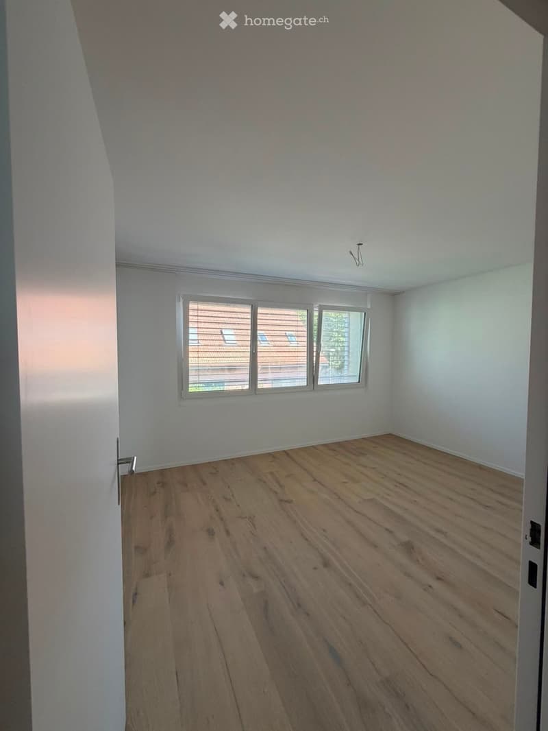 Grosszügige 5.5-Zimmer-Dachwohnung mit Terrasse und Weitsicht in Schaffhausen (13)