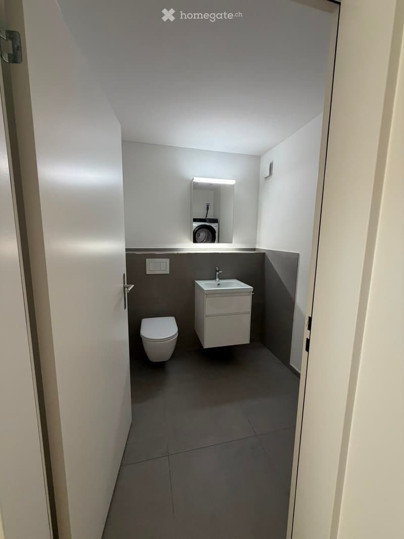 Grosszügige 5.5-Zimmer-Dachwohnung mit Terrasse und Weitsicht in Schaffhausen (20)
