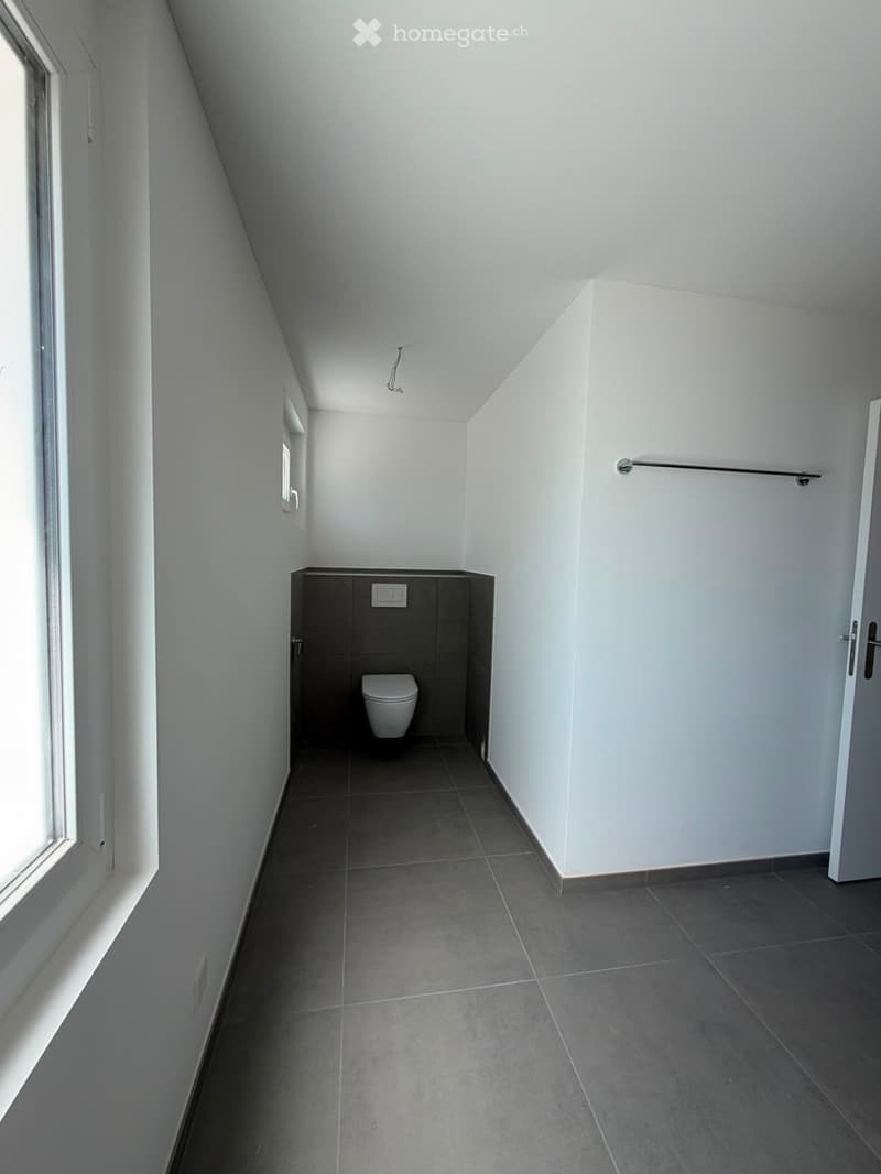 Grosszügige 5.5-Zimmer-Dachwohnung mit Terrasse und Weitsicht in Schaffhausen (11)