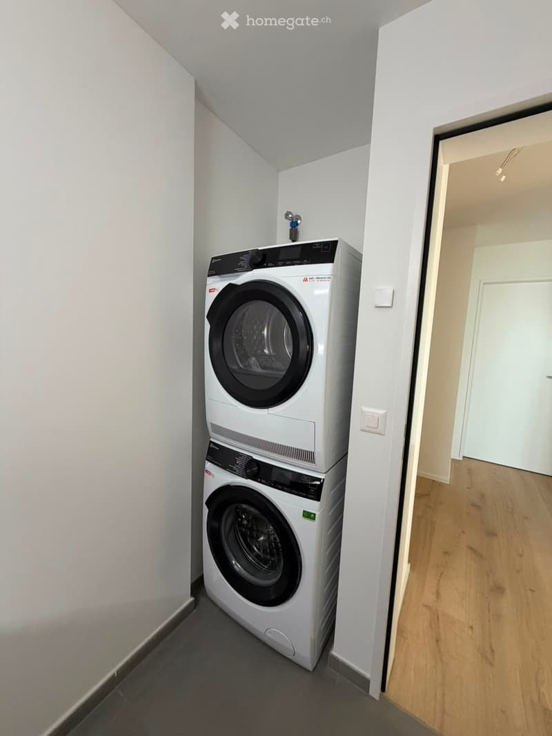 Grosszügige 5.5-Zimmer-Dachwohnung mit Terrasse und Weitsicht in Schaffhausen (21)