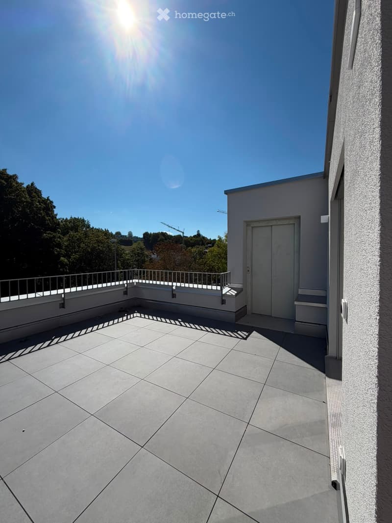Grosszügige 5.5-Zimmer-Dachwohnung mit Terrasse und Weitsicht in Schaffhausen (25)