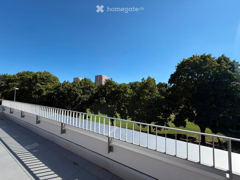 Grosszügige 5.5-Zimmer-Dachwohnung mit Terrasse und Weitsicht in Schaffhausen (31)
