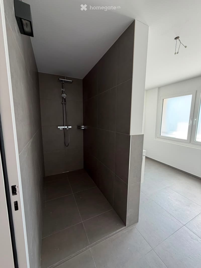 Grosszügige 5.5-Zimmer-Dachwohnung mit Terrasse und Weitsicht in Schaffhausen (8)