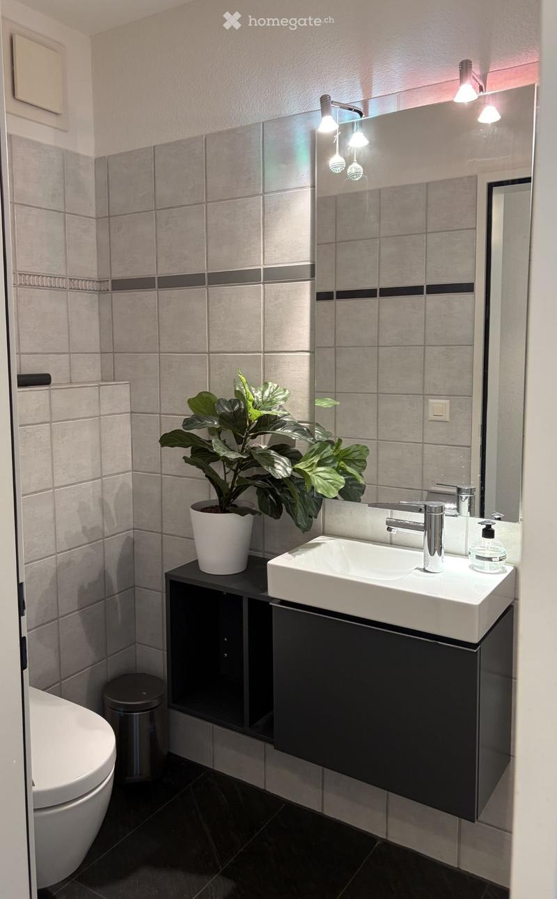 Modern bathroom with grey tiles, white sink, chrome faucet, large mirror, and a potted plant on a black cabinet.