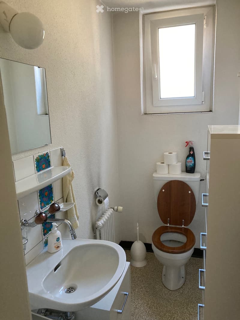 Bathroom with a white sink, faucet, toilet with wooden seat, toilet paper, radiator, mirror, towel, soap dispenser, and toilet brush.