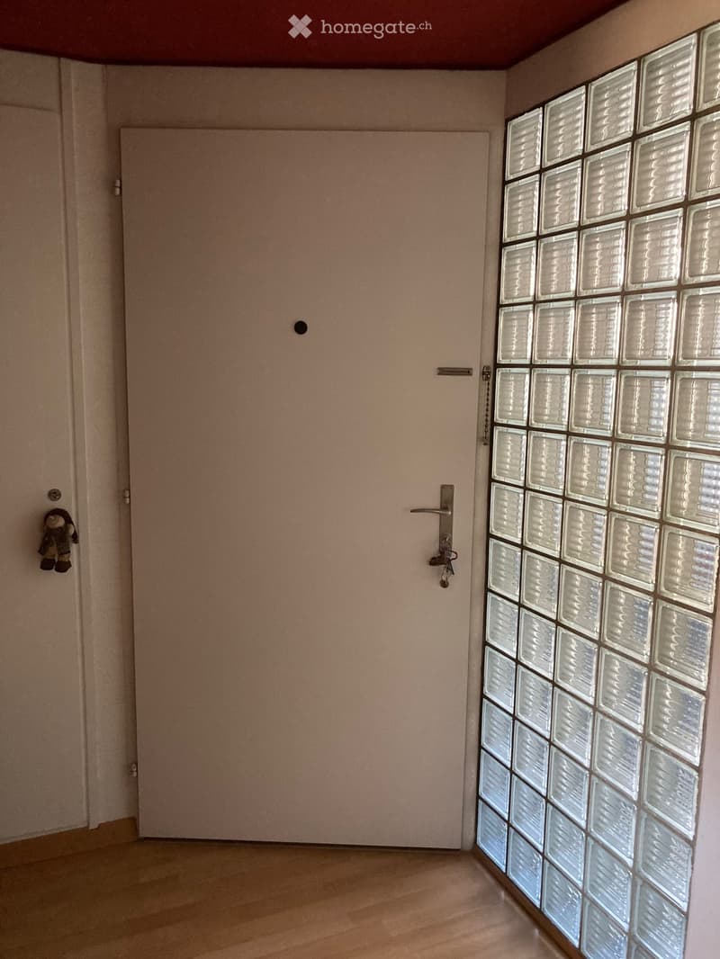 Empty hallway with light-colored walls, wooden floor, and a frosted glass block wall on one side.
