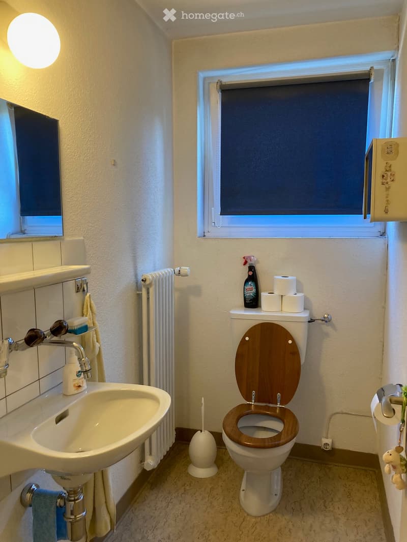 Bathroom with a sink, toilet, radiator, and window with blinds. Includes a bottle on the sink and toilet paper on the toilet.