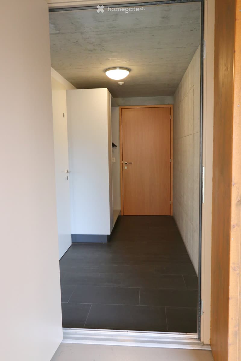 Modern hallway with dark tiled floor, white walls, wooden door, and recessed lighting.
