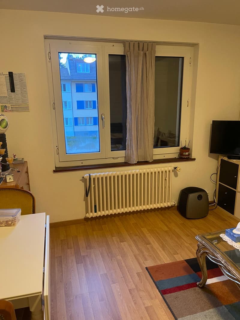 Wooden floor, large window with curtains, white radiator, television, table with coffee machine, cabinet with clock and storage, desk with plastic container and other objects, rug on floor