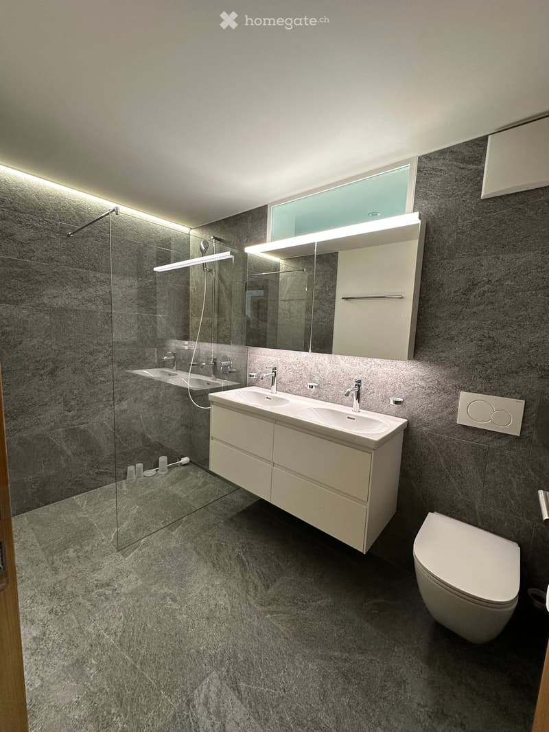 Modern bathroom with grey marble tiles, double sink vanity, toilet, large mirror, and glass-enclosed shower area.