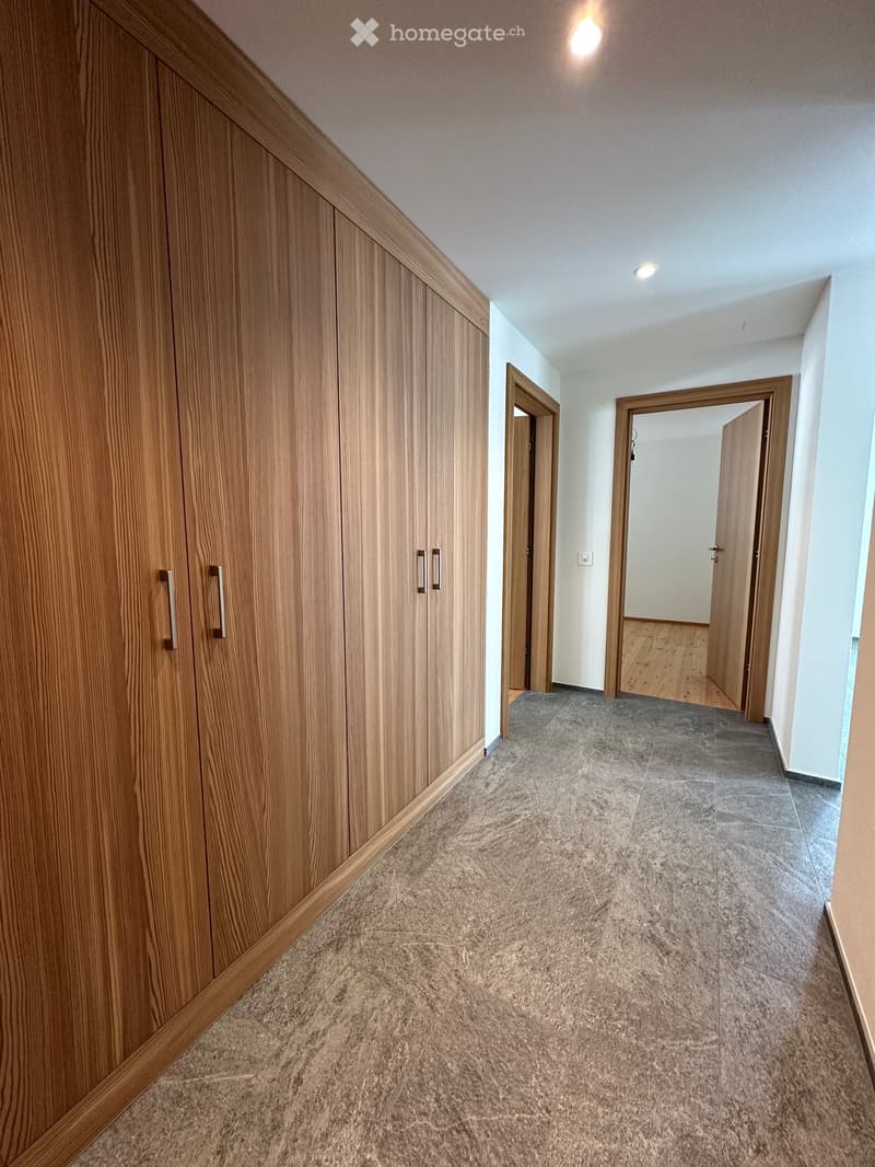 Modern hallway with wooden built-in closet on the left, carpeted floor, recessed ceiling lights, and open doors leading to other rooms.