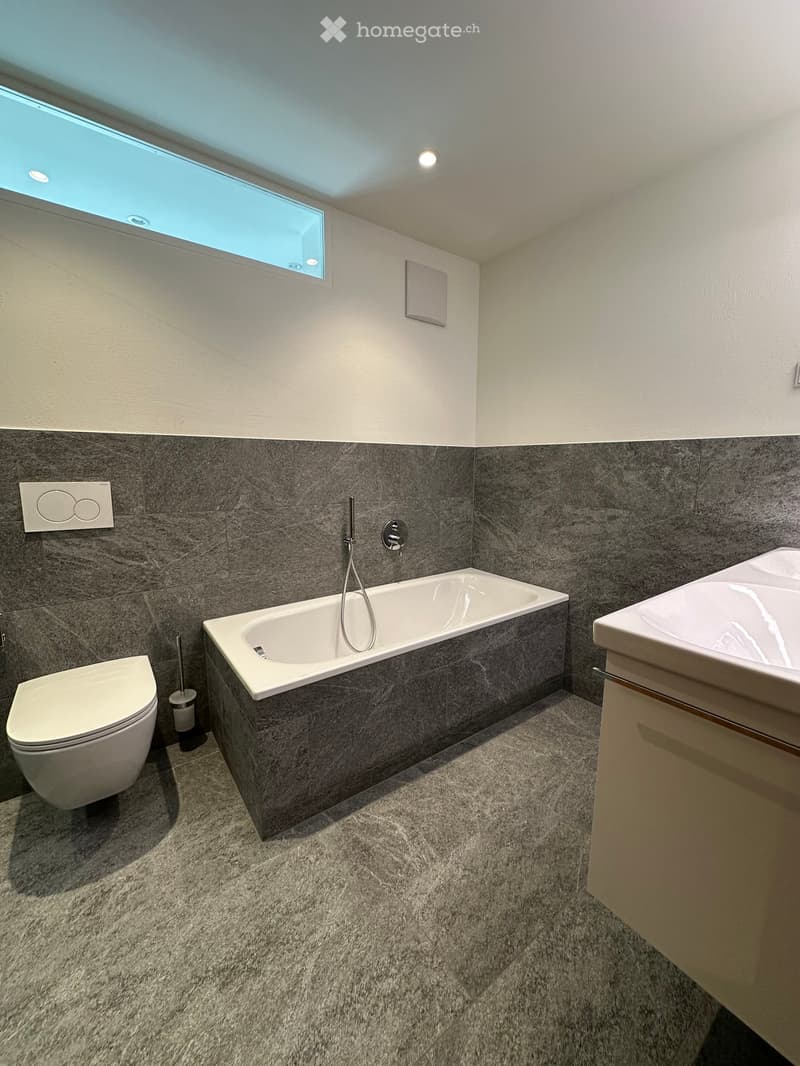 Modern bathroom with a bathtub, toilet, sink, and shower hose. Features grey tiled walls, a skylight window, and a grey carpeted floor.