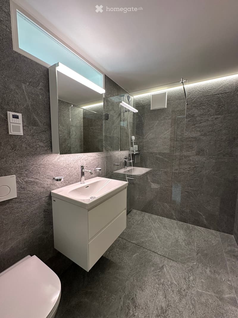 Modern bathroom with dark grey marble tiles, a large mirror, a sink with a modern faucet, a toilet, and a glass-enclosed shower area.