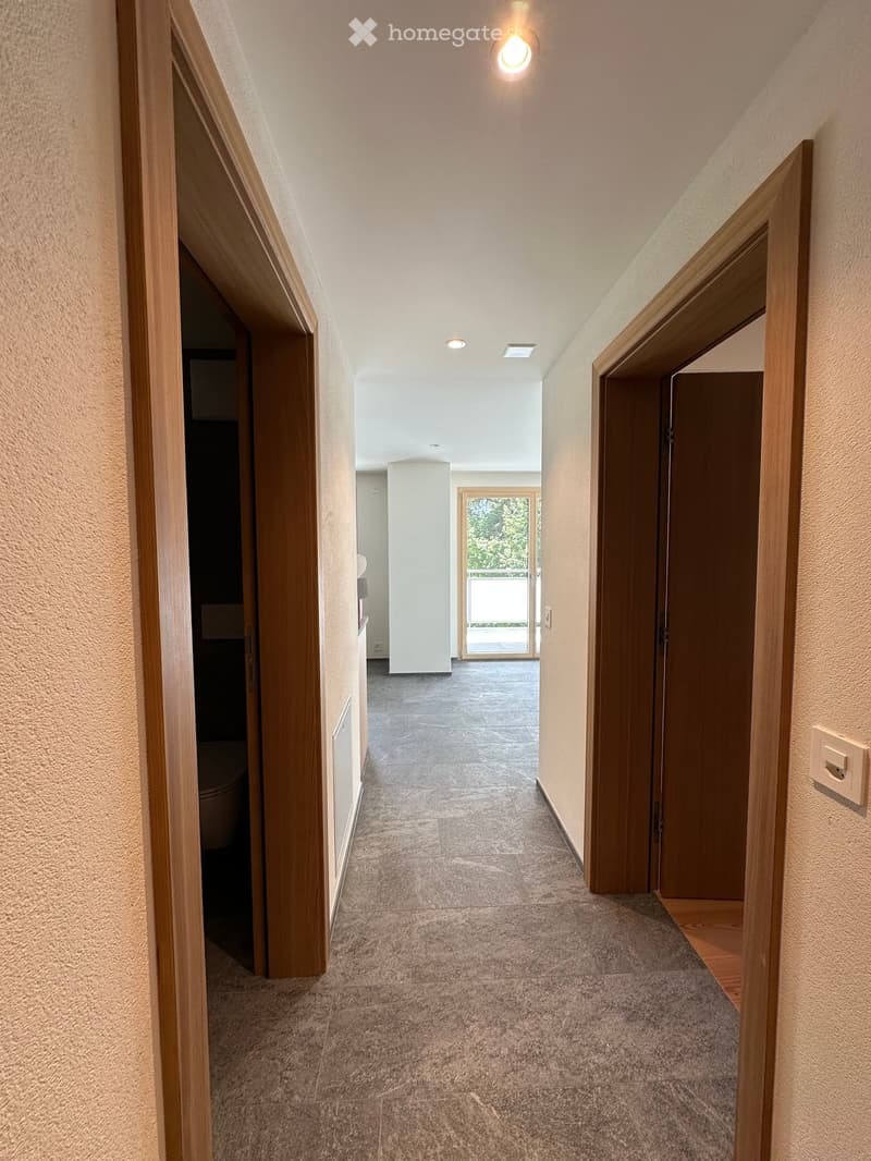 Modern hallway with carpeted floor, wooden doors, recessed lighting, and a view of an adjacent room with a sliding glass door leading to a balcony.