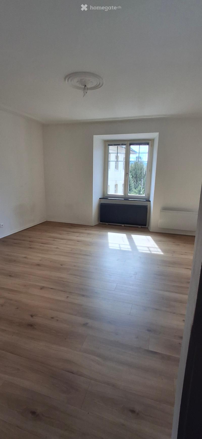 Empty room with wooden flooring, white walls, a window with a radiator below, and a ceiling light fixture.