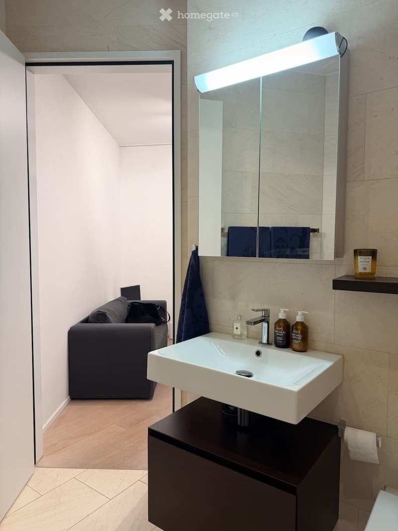 Modern bathroom with a white sink, dark wooden cabinet, large mirror with built-in lighting, and a dark grey sofa visible in the adjacent room.