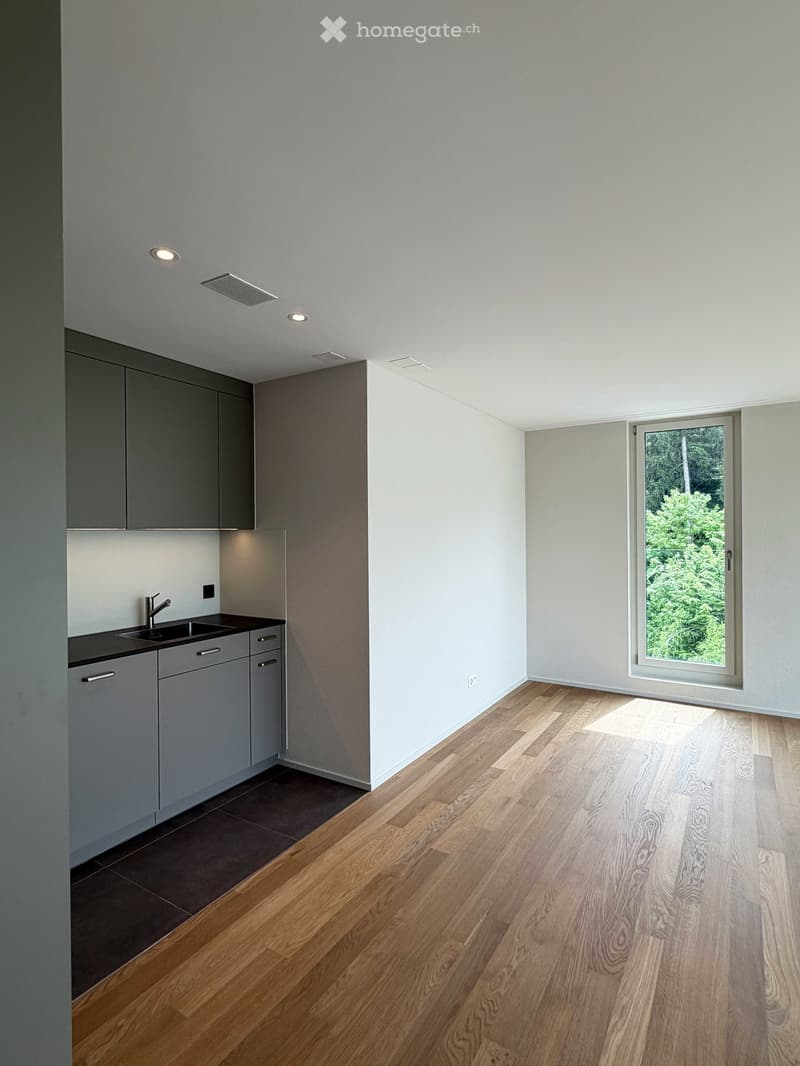 Empty kitchen area with grey cabinets, a sink, and a large window overlooking greenery. The floor is wooden, and the walls are white.