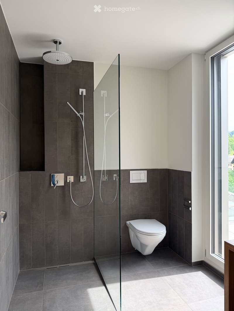 Modern bathroom with dark tiled walls, a glass-enclosed shower area, a toilet, and a handheld showerhead.