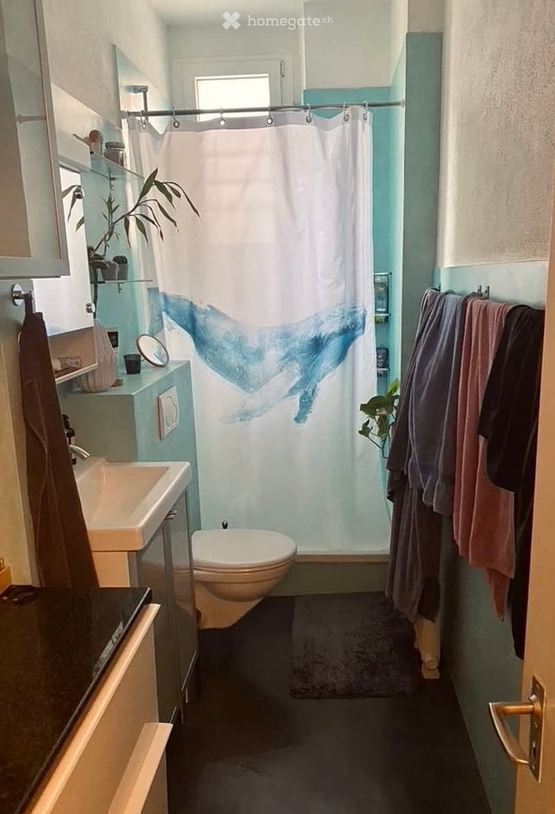 A modern bathroom with a white whale shower curtain, a sink, a toilet, a towel rack with towels, a mirror, and a small plant on the windowsill.