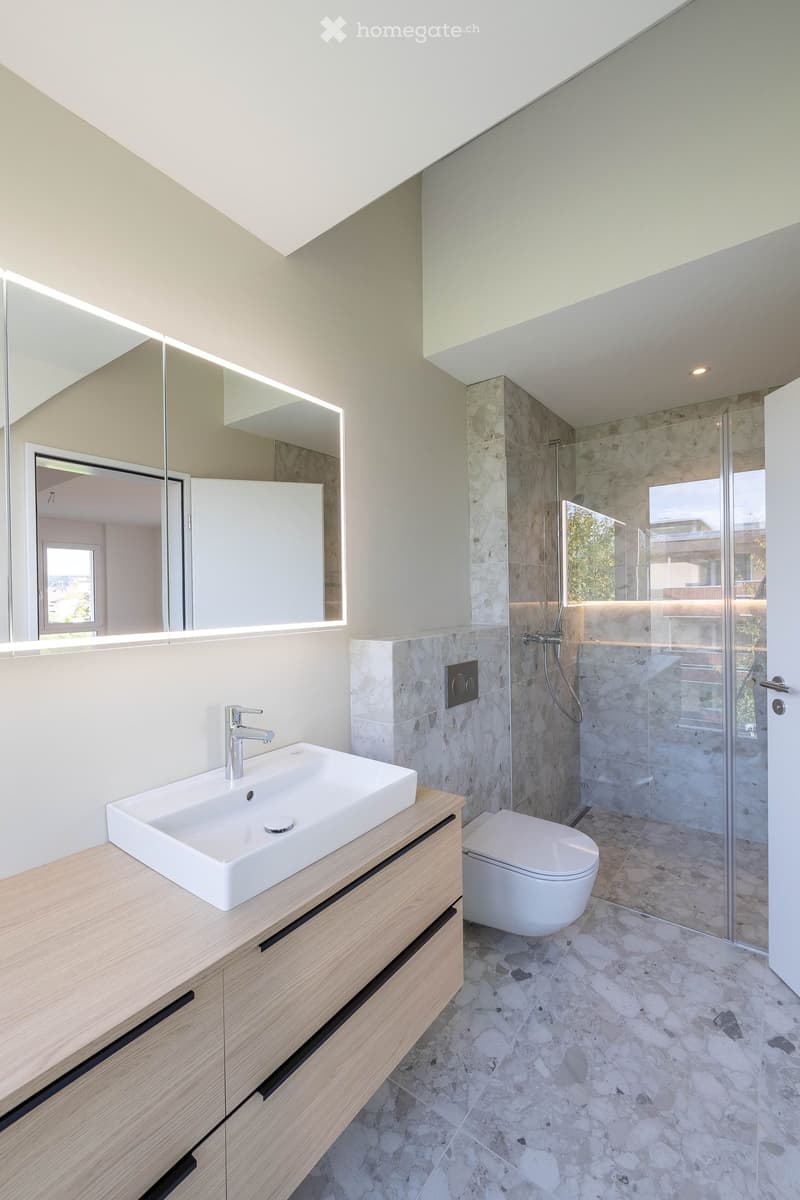 Modern bathroom with a white sink, wooden vanity, large mirror, toilet, and glass-enclosed shower with stone tiles.
