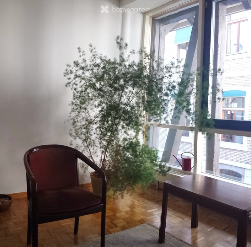 A small, well-lit room with wooden flooring, a dark wooden chair, a small table, a potted plant, and a watering can on the windowsill.