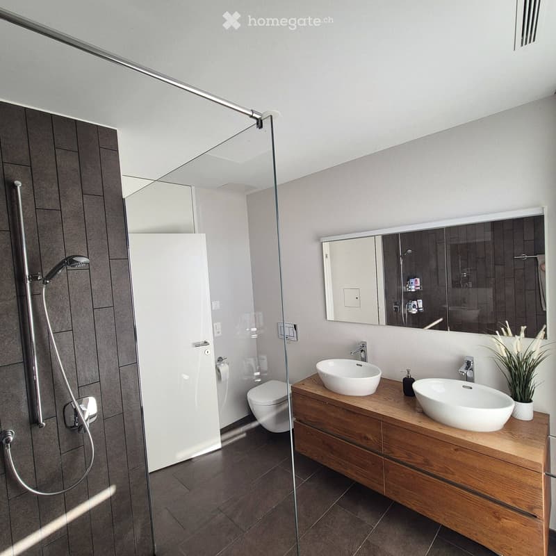 Modern bathroom with a glass-enclosed shower, double sink vanity with wooden cabinet, and a toilet. Features a large mirror and a small potted plant on the vanity.