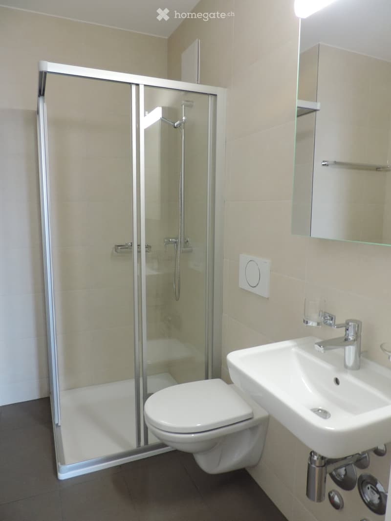 Modern bathroom with a white toilet, sink, and glass-enclosed shower. Features a sleek faucet and a mirror above the sink.