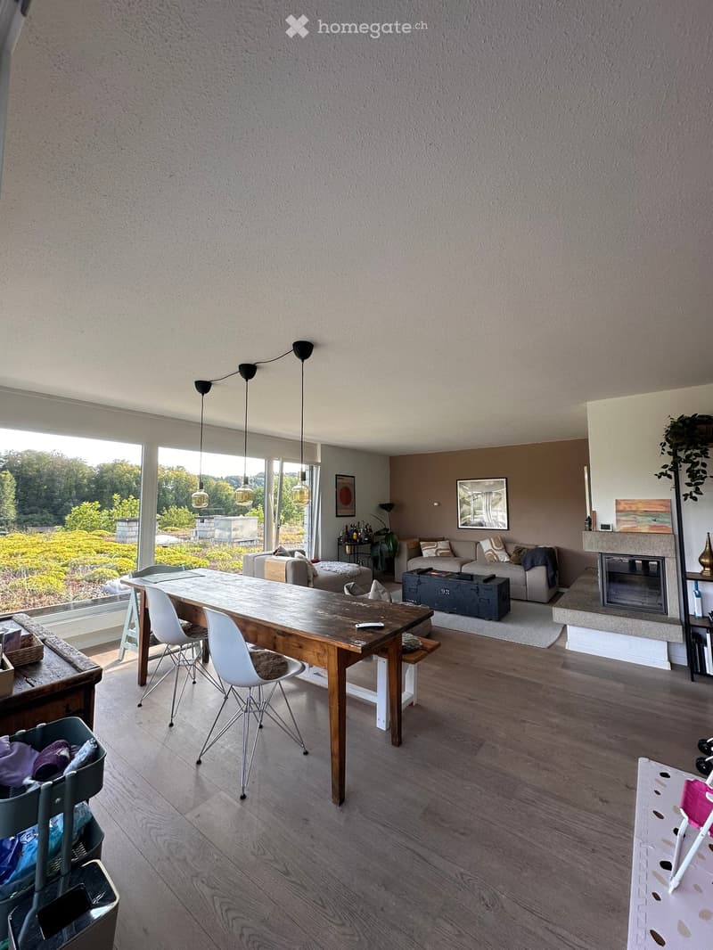Open-plan living and dining area with wooden flooring, large windows, a sofa, a fireplace, a dining table with chairs, and pendant lights.