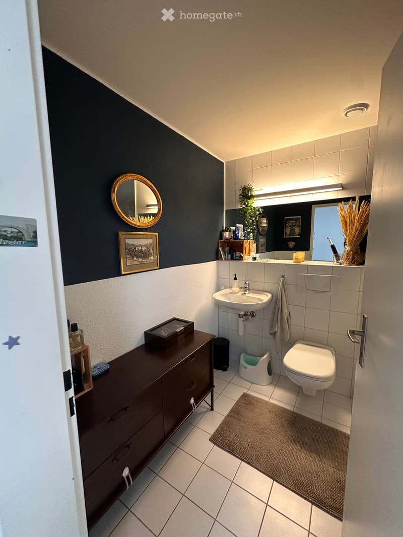 Modern bathroom with dark blue accent wall, white tiles, sink, toilet, cabinet, mirror, framed picture, and a small rug.