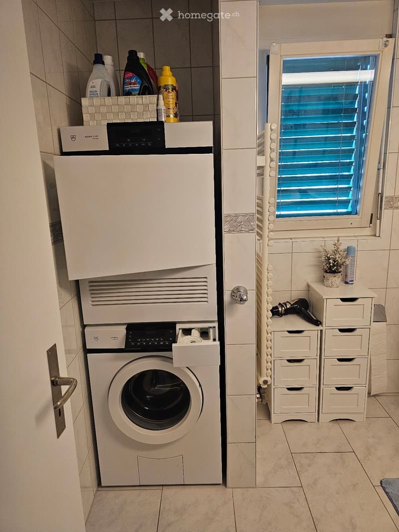 Modern bathroom with a washing machine and dishwasher stacked vertically, a small window with blinds, and storage cabinets with a small plant and cleaning supplies.