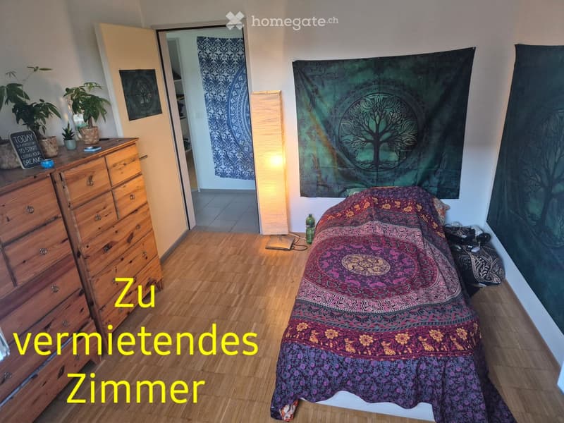 Cozy bedroom with wooden floor, bed covered in colorful blanket, wooden chest of drawers with plants and small items, floor lamp, and a tapestry on the wall.
