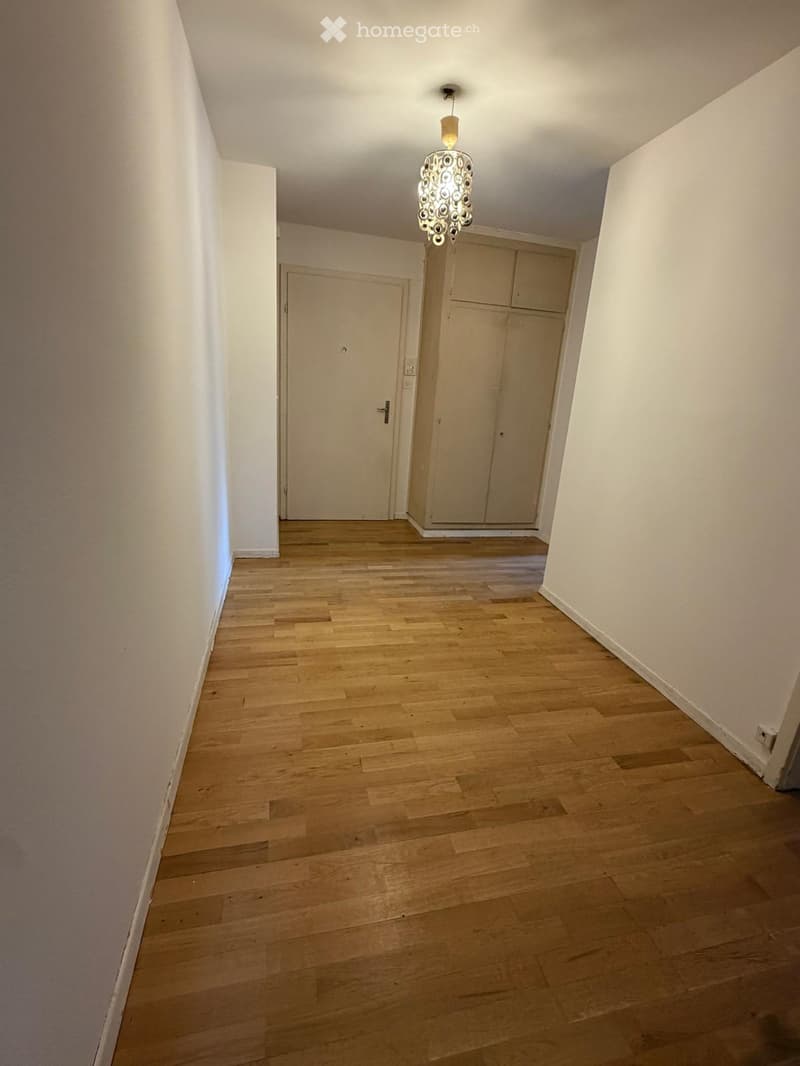 Empty hallway with light wooden flooring, white walls, and a hanging light fixture. A closed door and built-in cabinet are visible.