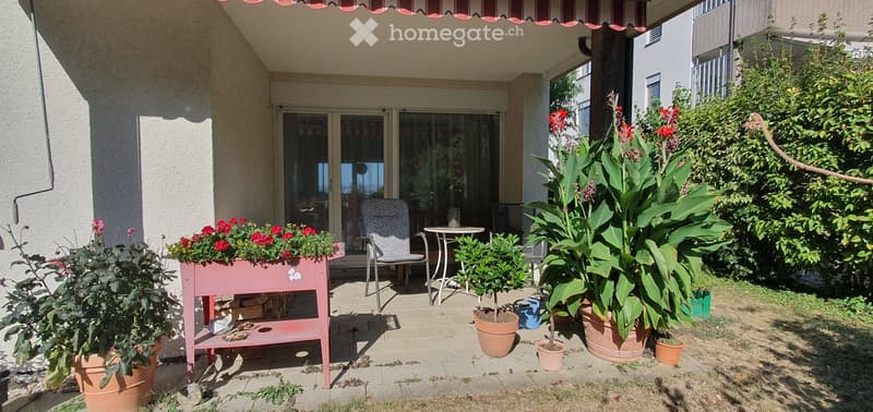 Balcony area with a pink planter, small table, chair, and various potted plants, including large leafy plants and flowering shrubs.