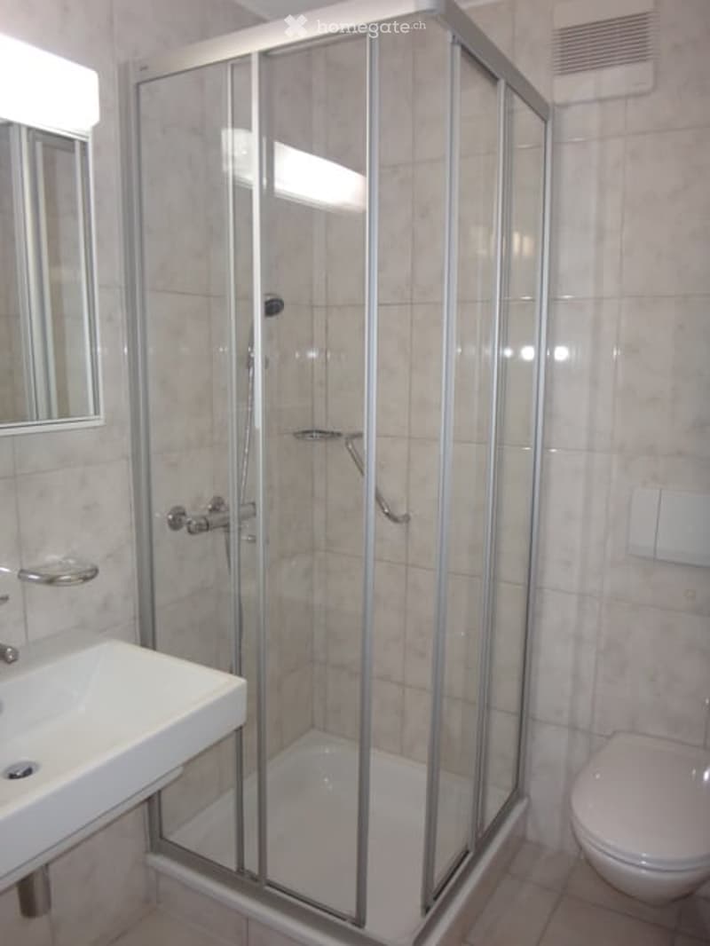 Modern bathroom with a white sink, mirror, toilet, and a glass-enclosed shower stall.