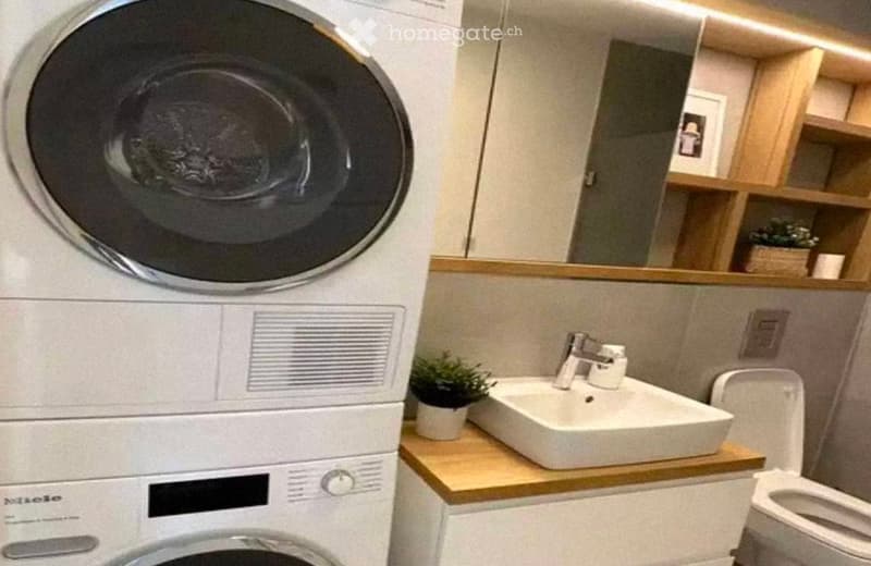 Modern bathroom with a white sink, faucet, toilet, and a stacked washing machine. A mirror above the sink and wooden shelves with a small plant are visible.