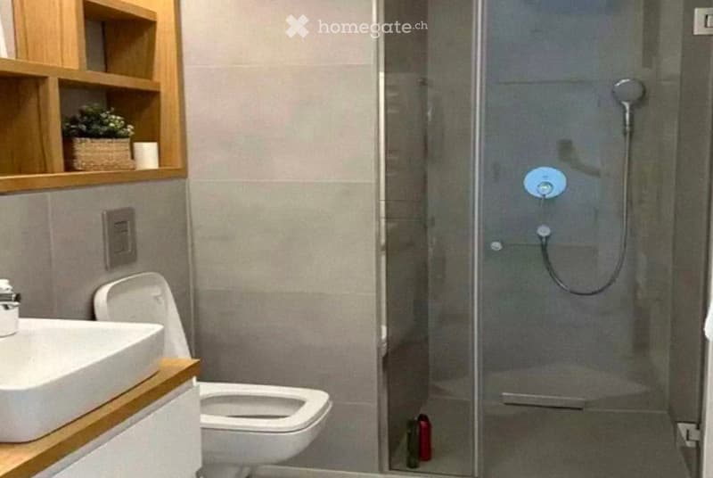 Modern bathroom with a white sink, toilet, and glass-enclosed shower. Wooden shelves hold a small plant and decorative items.