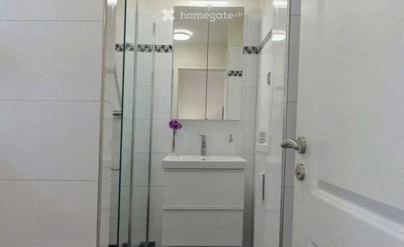 Modern bathroom with a white sink, mirror, and a small flower vase on the counter. The shower area is enclosed with a glass door.