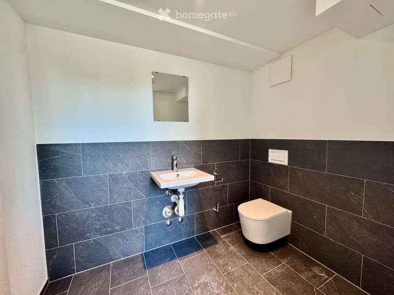 Modern bathroom with dark grey tiles, white sink, toilet, and a wall-mounted mirror.
