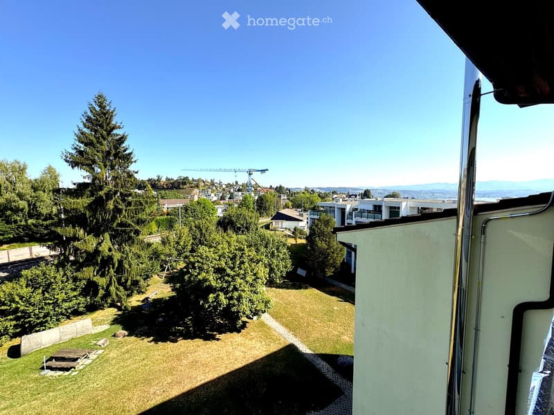 A grassy backyard with trees, a picnic table, and a view of a cityscape with buildings and mountains in the distance.