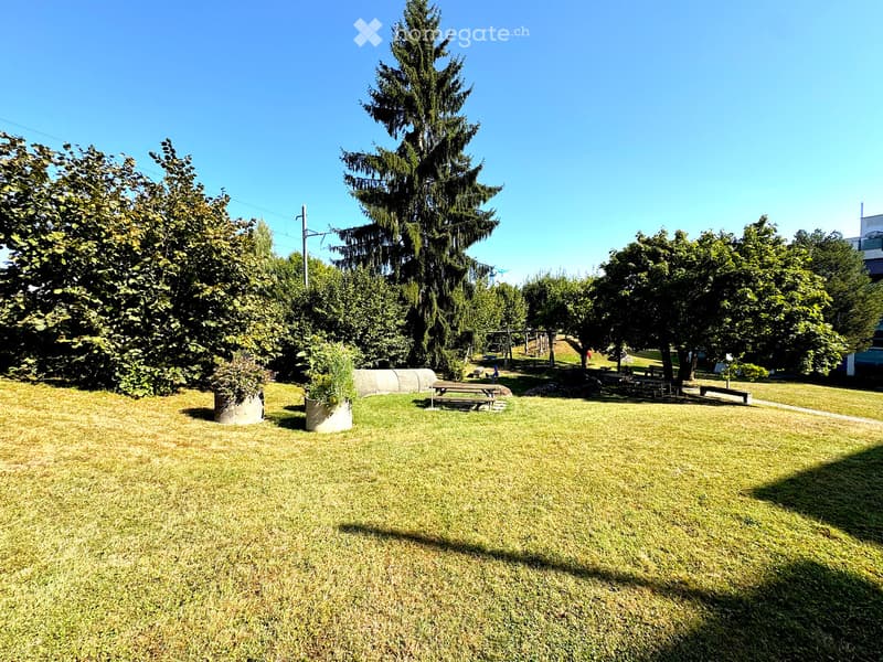 Open grassy area with trees, benches, and a pathway, surrounded by greenery and a clear blue sky.