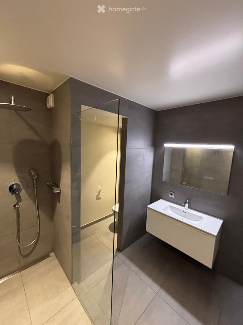 Modern bathroom with a glass-enclosed shower, a white sink with a mirror, and a toilet visible behind the shower door.